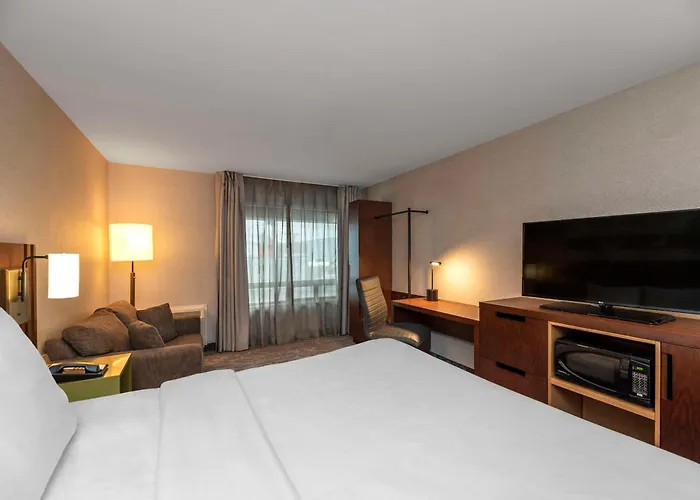 Comfort Inn South